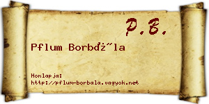 Pflum Borbála névjegykártya
