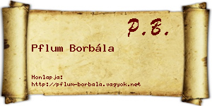 Pflum Borbála névjegykártya